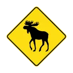 Flashcard Icon